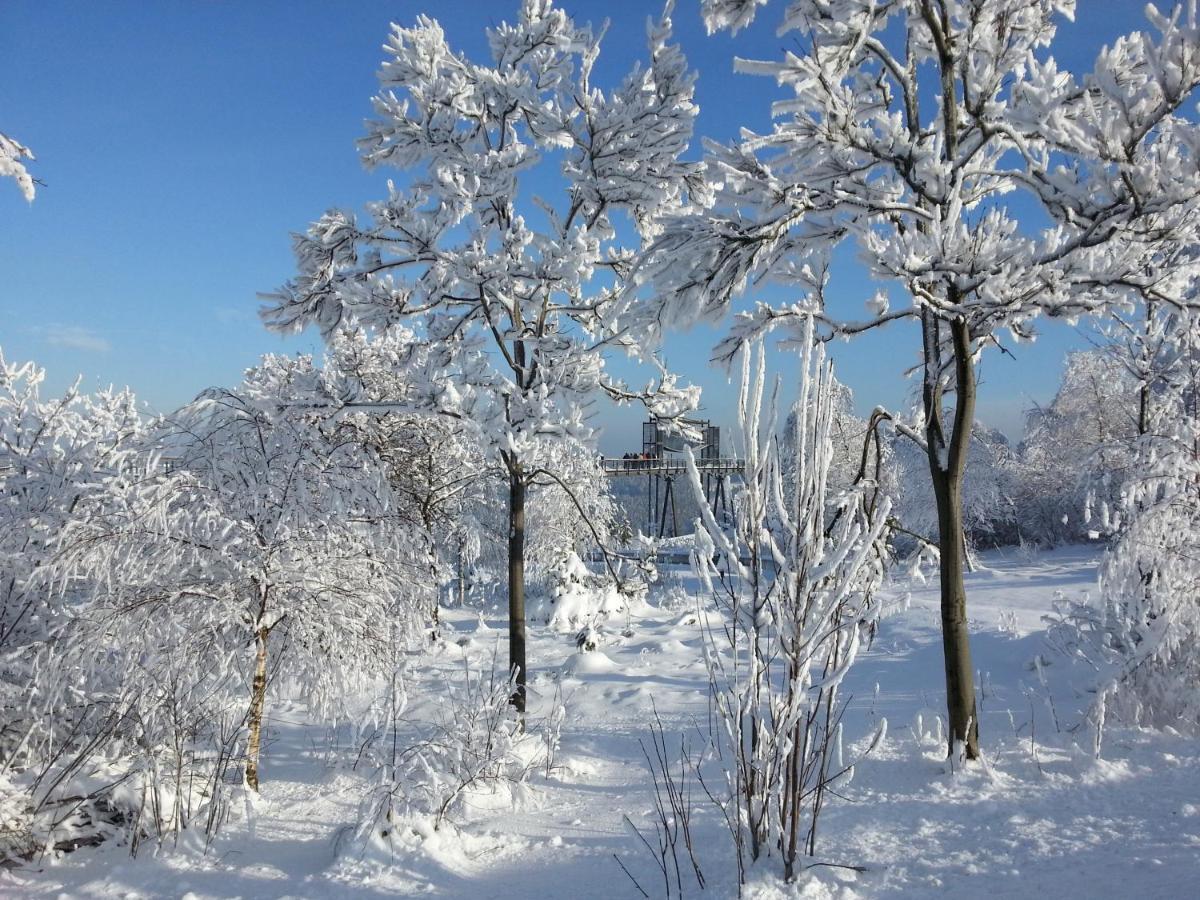 Ferienwohnungen Luge - Winterberg Quarto foto