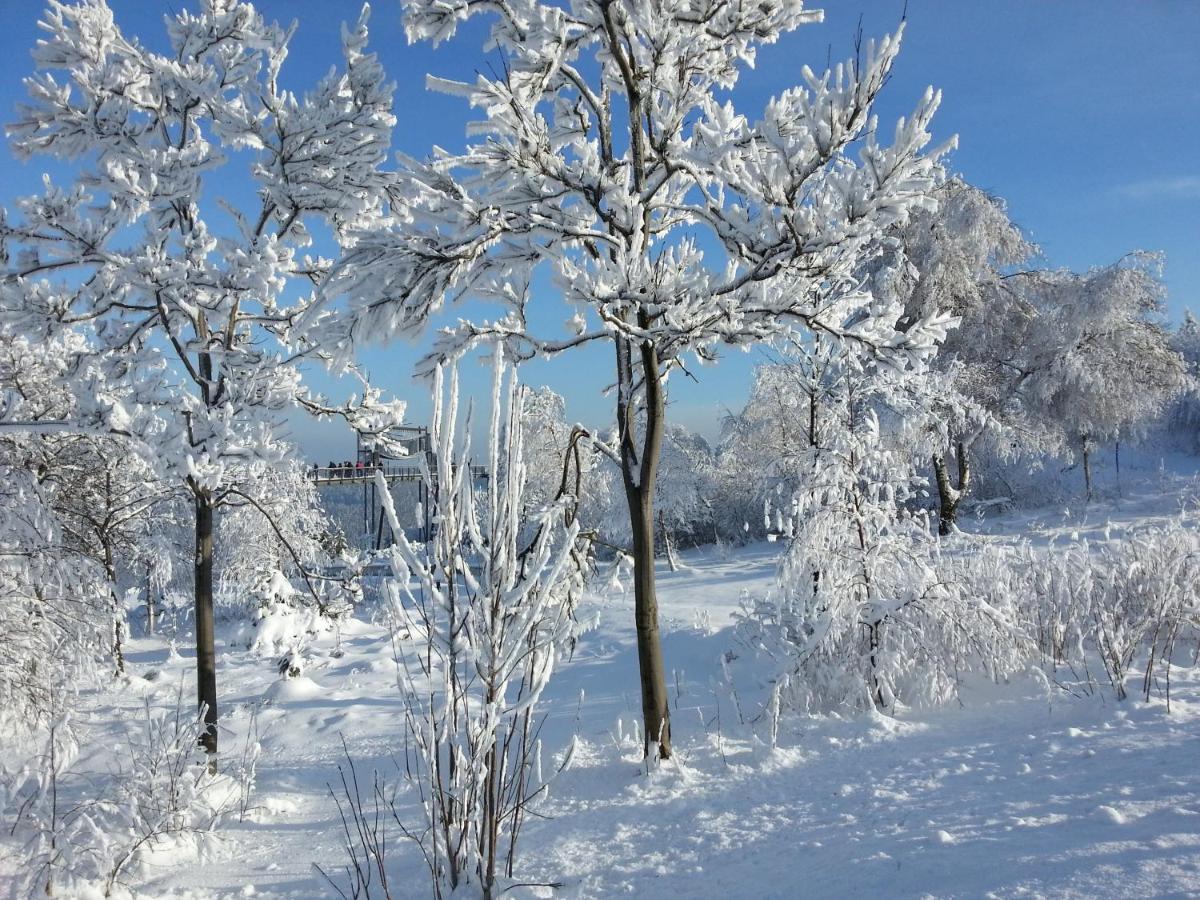Ferienwohnungen Luge - Winterberg Quarto foto